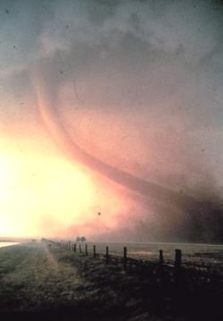 VIDEO D UNE CHASSE A LA TORNADE A SEATTLE