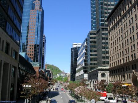 VISITE DE MONTREAL