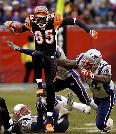 La saison nfl commence