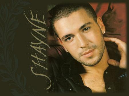Biographie de Shayne Ward Avec Video