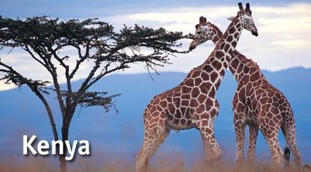 VISITE DU kENYA